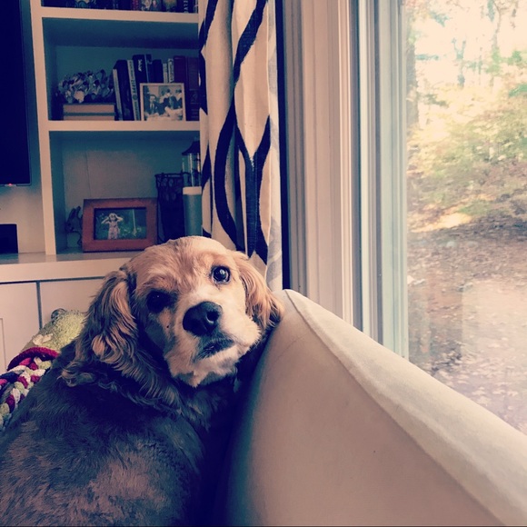 Meet your Posher, Leanne - Picture 1 of 1